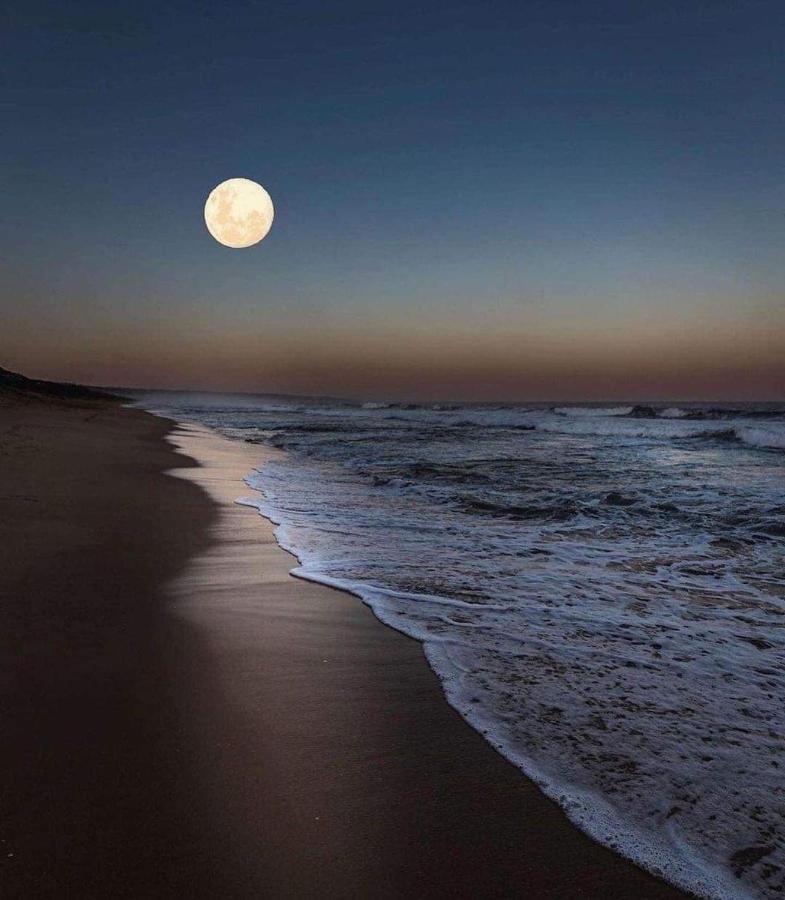 Casa Verde Cabo Frio Exteriér fotografie